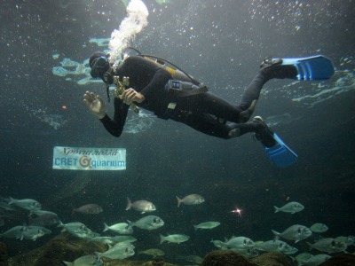 Θεοφάνια στο Ενυδρείο της Κρήτης!